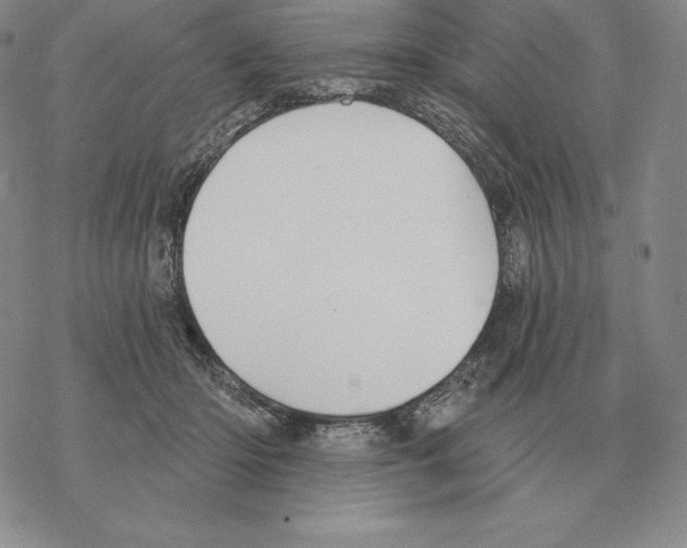 X0000069380414200606091656