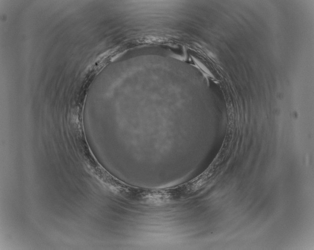 X0000069380415200606091656