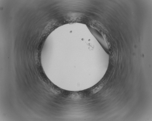 X0000069380416200606091656