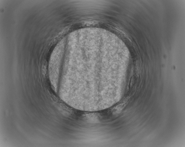 X0000069380417200606091656