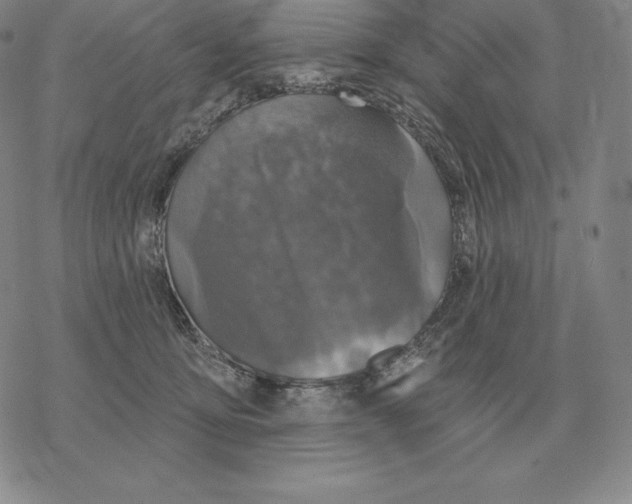 X0000069380419200606091656