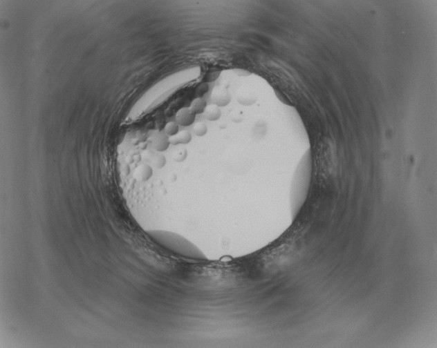 X0000069380420200606091656