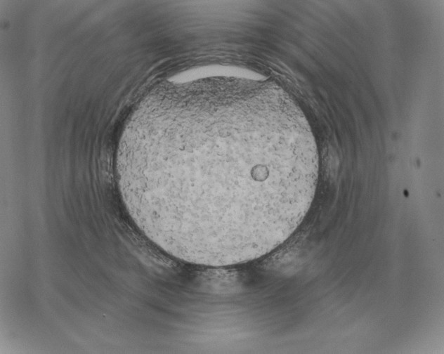 X0000069380421200606091656