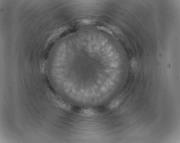 X0000069380423200606091656