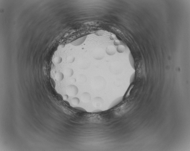 X0000069380424200606091656