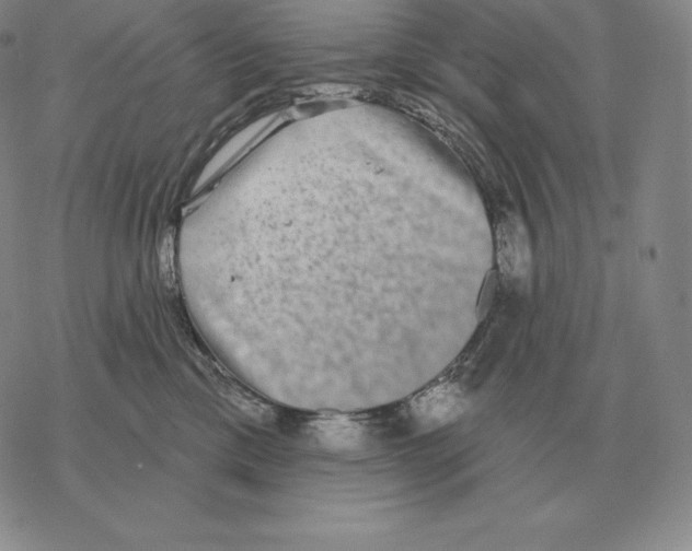 X0000069380425200606091656