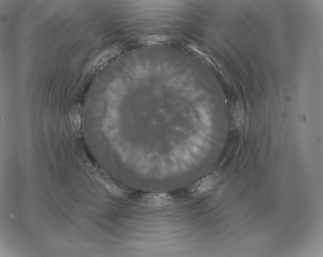 X0000069380427200606091655