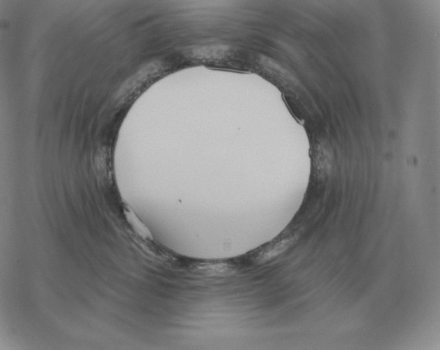 X0000069380428200606091655