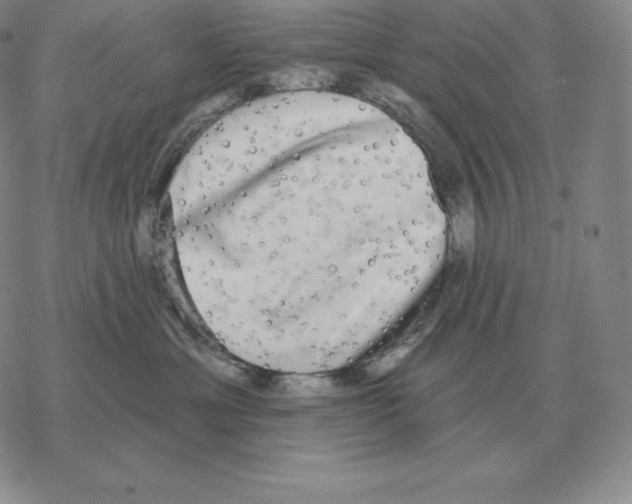 X0000069380429200606091655