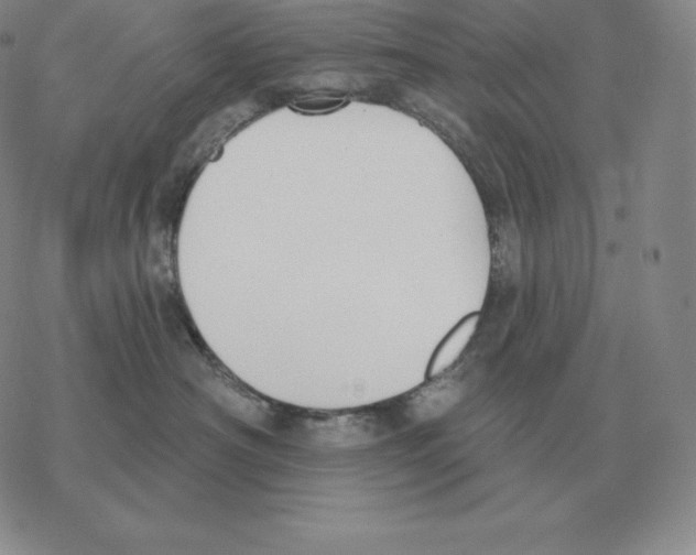 X0000069380430200606091655