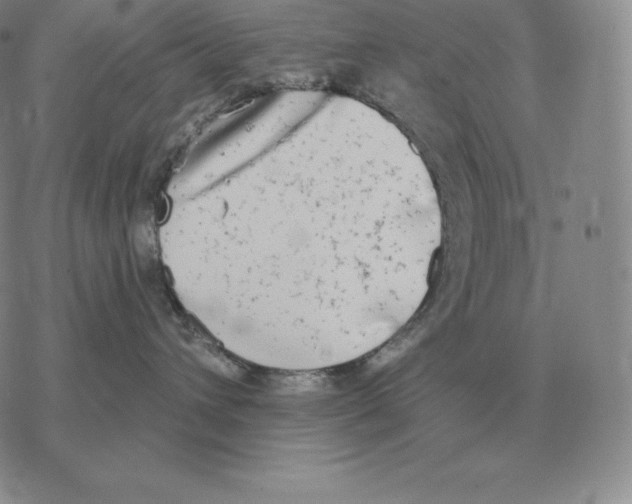 X0000069380432200606091655