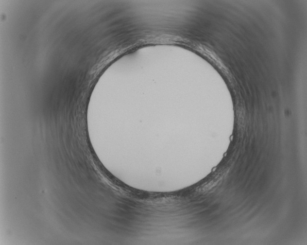 X0000069380433200606091655