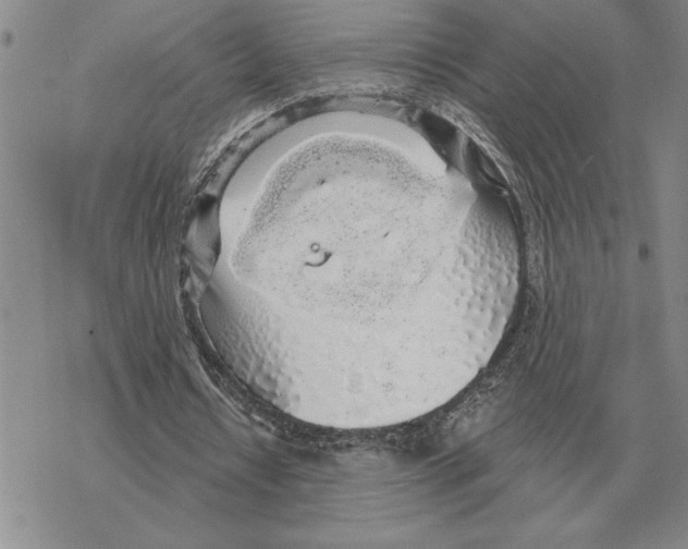 X0000069380434200606091655