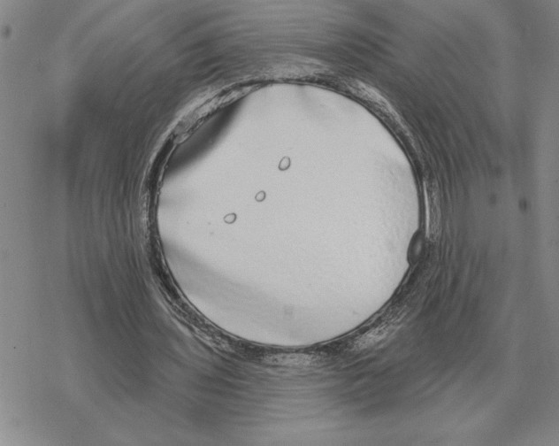 X0000069380435200606091655