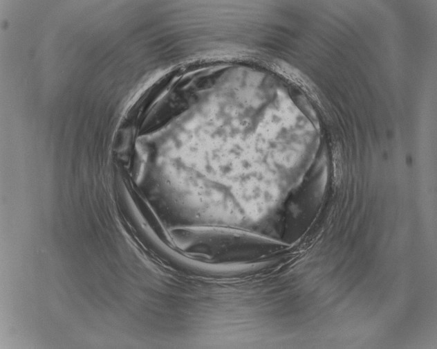 X0000069380436200606091655