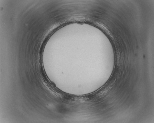 X0000069380439200606091655