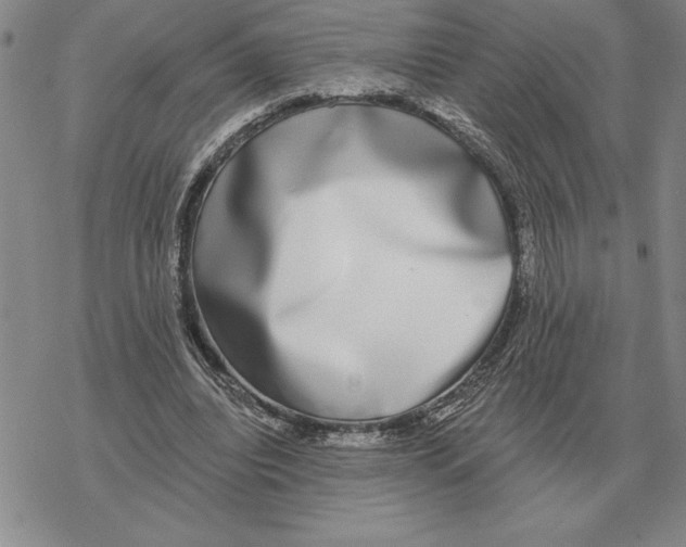 X0000069380440200606091655