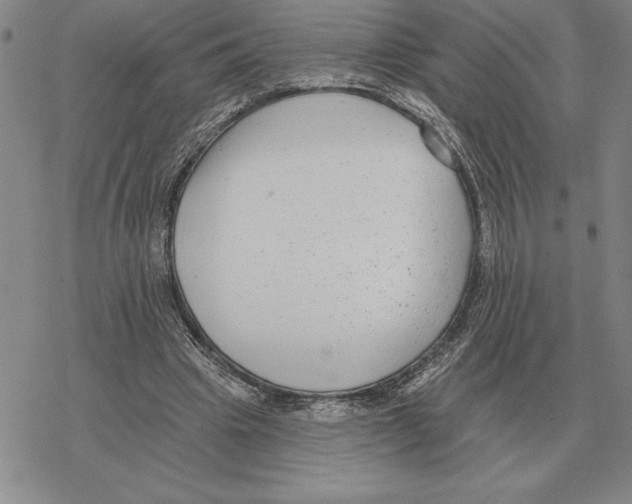 X0000069380441200606091655