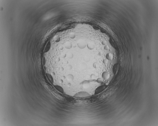 X0000069380442200606091655