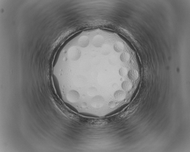 X0000069380443200606091655