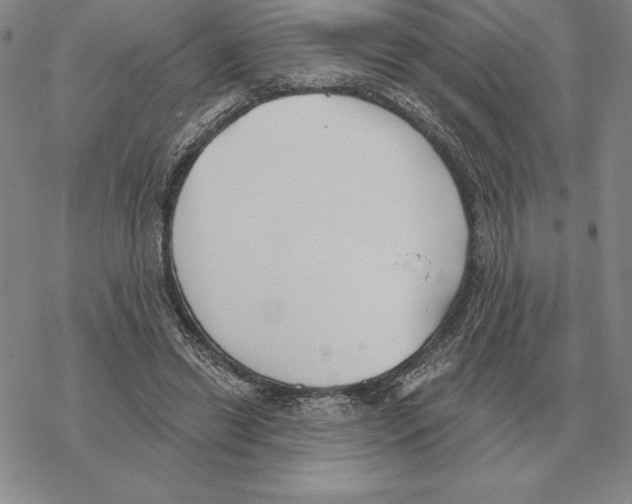 X0000069380446200606091655