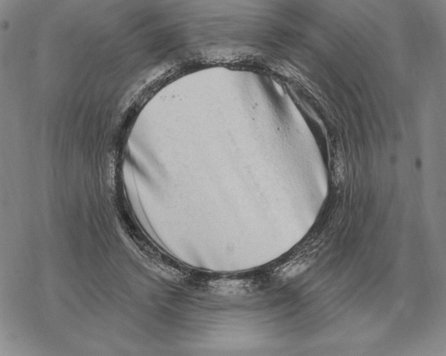 X0000069380448200606091655