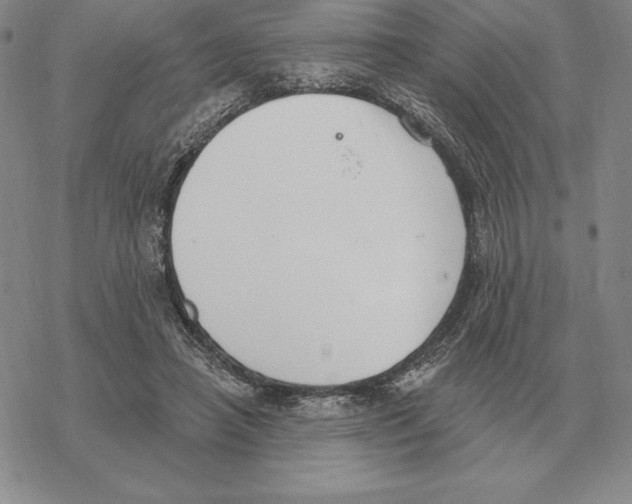 X0000069380450200606091655