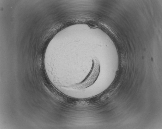 X0000069380451200606091655