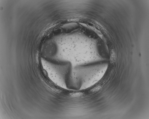 X0000069380452200606091655