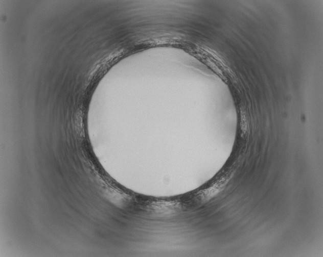 X0000069380453200606091655