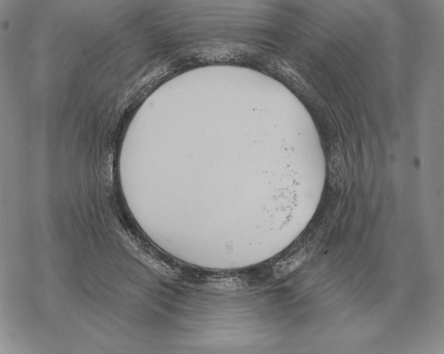 X0000069380454200606091655