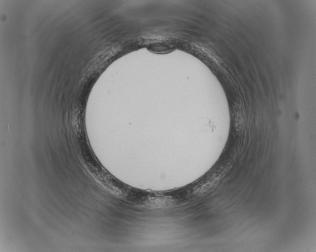 X0000069380455200606091655