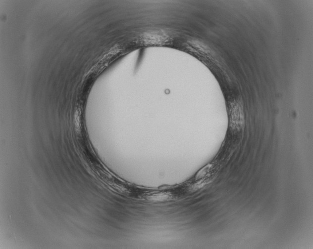 X0000069380456200606091655