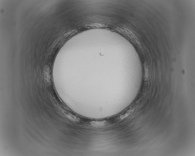 X0000069380457200606091655