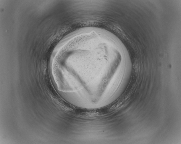 X0000069380458200606091655