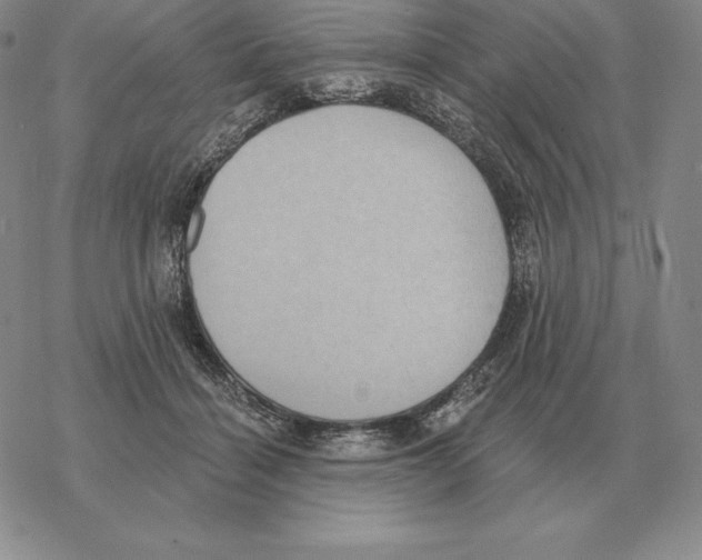 X0000069380460200606091655