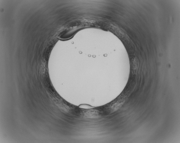 X0000069380463200606091655