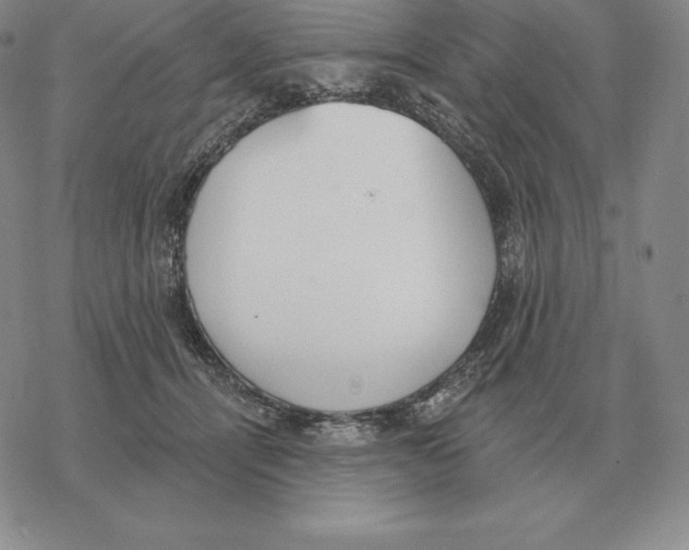 X0000069380464200606091655