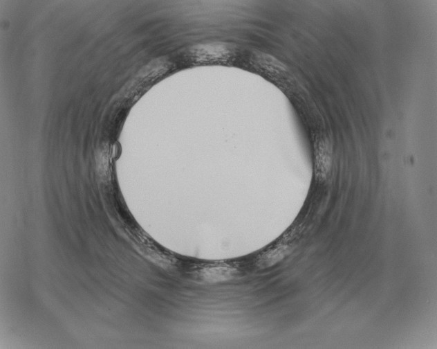 X0000069380468200606091655