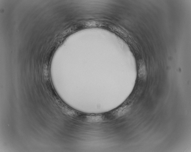 X0000069380469200606091655