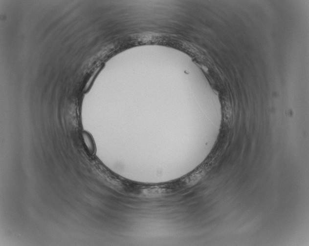 X0000069380470200606091655