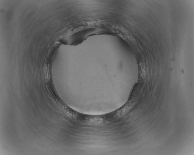 X0000069380471200606091655