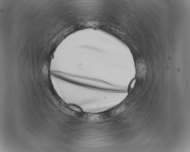 X0000069380472200606091655