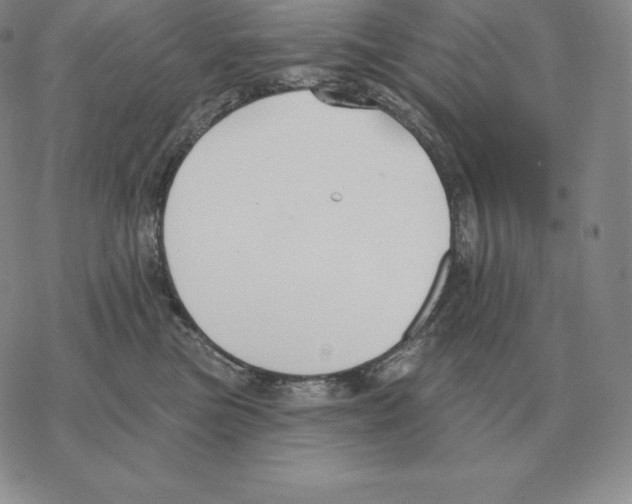 X0000069380473200606091655