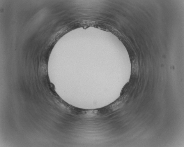 X0000069380474200606091655