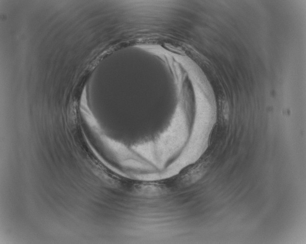 X0000069380475200606091655