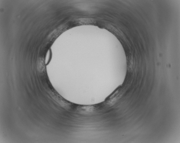 X0000069380478200606091655