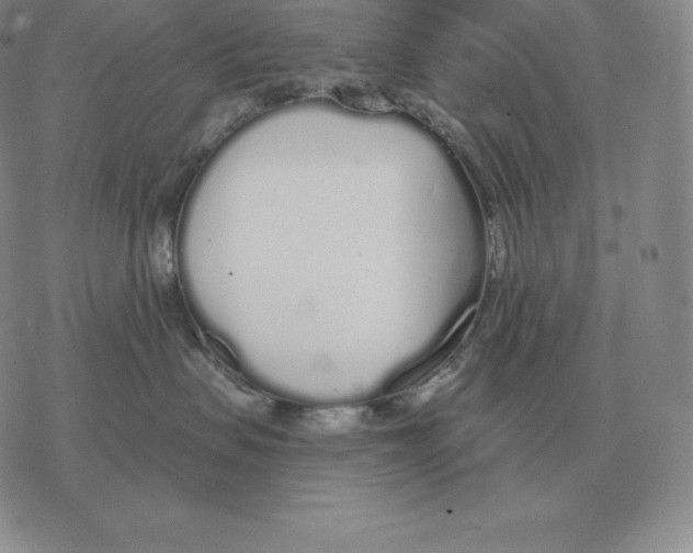 X0000069380479200606091655