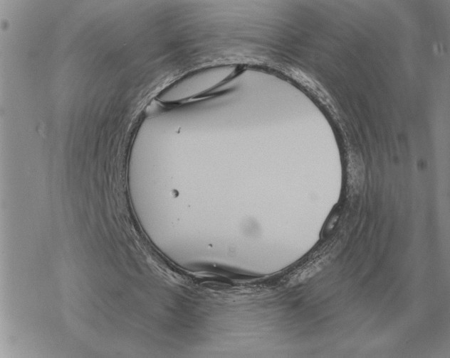 X0000069380481200606091655