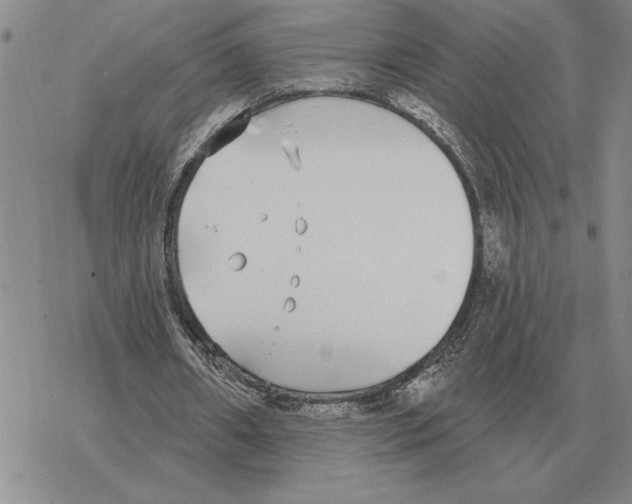 X0000069380482200606091655